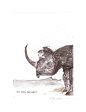 Black Rhinoceros Online Hot Sale