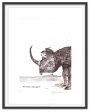 Black Rhinoceros Online Hot Sale