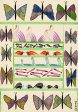 Butterfly Border: Birds & Fish on Sale