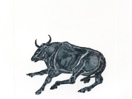 Bull Fashion