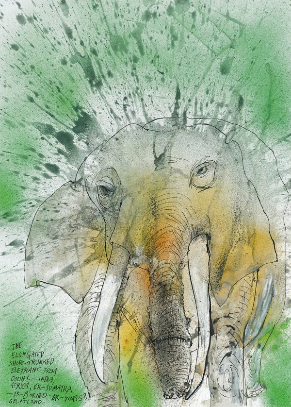 African-Asian Elephant Hot on Sale