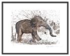 Borneo Pygmy Elephant Online Sale