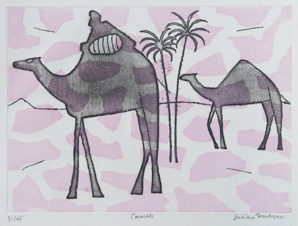 Camels on Sale