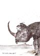 Black Rhinoceros Online Hot Sale