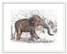 Borneo Pygmy Elephant Online Sale