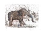 Borneo Pygmy Elephant Online Sale