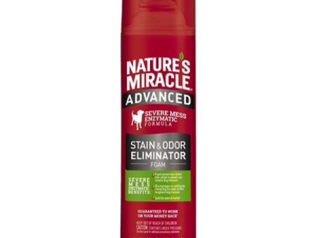 Nature s Miracle Dog Stain & Odor Advanced Foam Aerosol 17.5 oz Sale