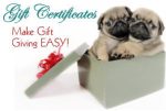 Gift Certificate Cheap