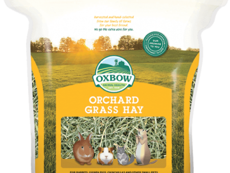 Oxbow Orchard Grass 15 oz. For Sale