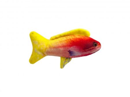 Kittybelles Cat Toy Rainbow Guppy Hot on Sale