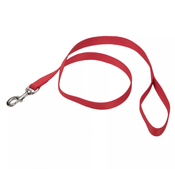 Coastal Leash 4  3 8  For Discount