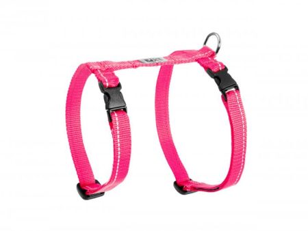 RC Primary Kitty Harness For Discount