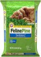 Feline Pine Cat Litter 20 lb. For Cheap