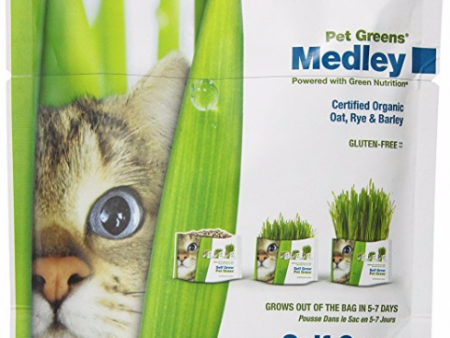 Bellrock Pet Greens Self Grow Medley Kit 88 g For Cheap