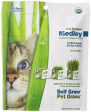 Bellrock Pet Greens Self Grow Medley Kit 88 g For Cheap