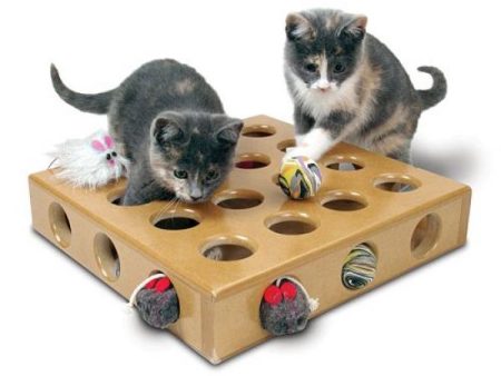 Pioneer Pet Peek-and-Play Toy Box Online Sale