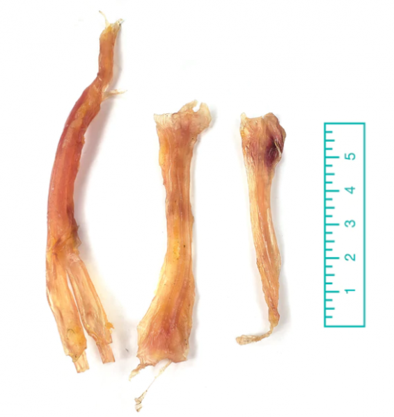 TND Assorted Beef Tendons 8 oz Online