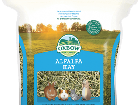 Oxbow Alfalfa Hay 15 oz. on Sale