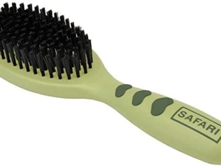 Bristle Brush Small Supply