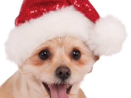 Red Sequin Santa Hat For Discount