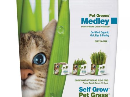 Bellrock Pet Greens Self Grow Garden Kit Discount