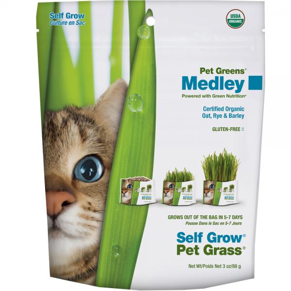 Bellrock Pet Greens Self Grow Garden Kit Discount