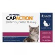 CapAction Cat 6 ct Sale