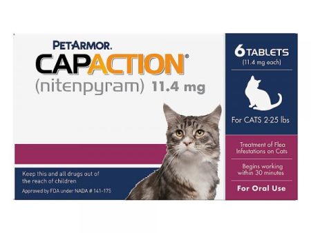 CapAction Cat 6 ct Sale