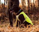 RC Luna Hi Vis Vest Online Sale