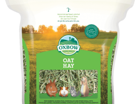 Oxbow Oat Hay 15 oz. Online