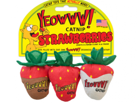 Yeowww Catnip Strawberry 3 pk. Supply