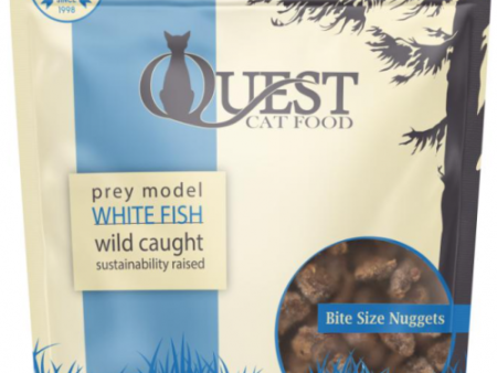 Steve s Quest Cat Frozen Nuggets Whitefish 2 lb Hot on Sale