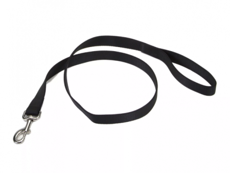 Coastal Leash 4  3 8  For Discount