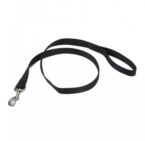 Coastal Leash 4  3 8  For Discount