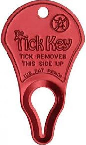 Personalized Tick Key Hot on Sale