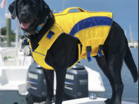 BayDog Classic Monterey Bay Life Jacket Hot on Sale