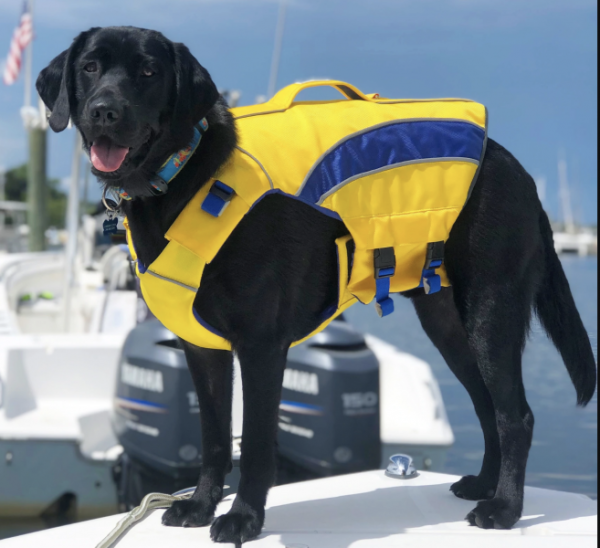 BayDog Classic Monterey Bay Life Jacket Hot on Sale