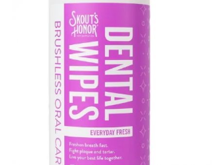 SH Dental Wipes 50 ct. Fashion