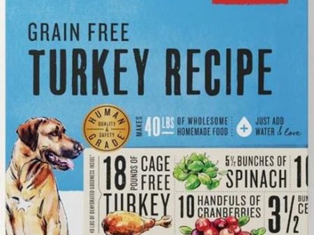 The Honest Kitchen GF Turkey 2 lb Sale