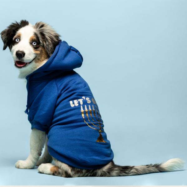 Fabdog Get Lit Hoodie For Discount