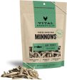 Vital Essentials Dog Treats FD Minnows Family Size 2.5 oz. Online Sale