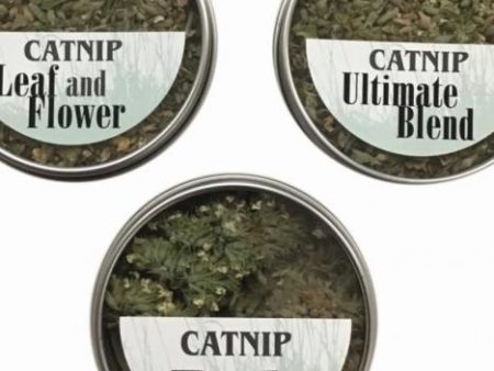 FTF Catnip Flight Sale