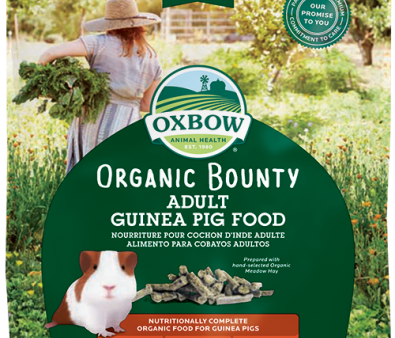 Oxbow Food Organic Bounty Guinea Pig Food 3 lb. Online now