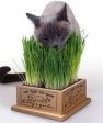 Pioneer Pet Kitty s Garden Sale