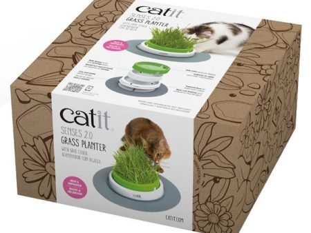 Catit Grass Planter Cheap