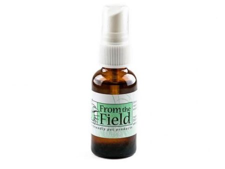 FTF Catnip Spray Rejuvenator 1 oz. Hot on Sale